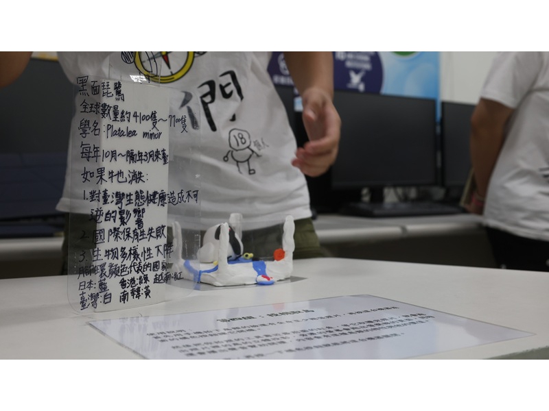 Do+增韌：七股啾察隊